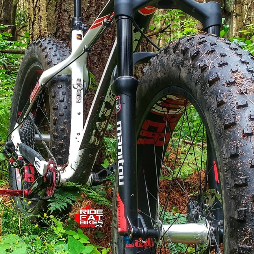 Manitou mastodon pro ext 2025